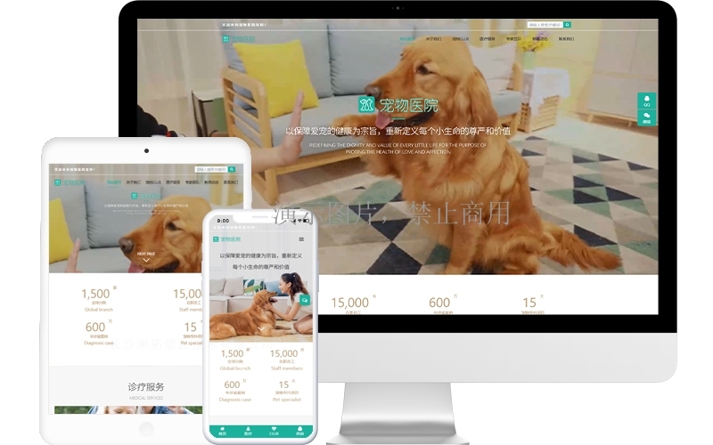 寵物醫(yī)院響應式模板